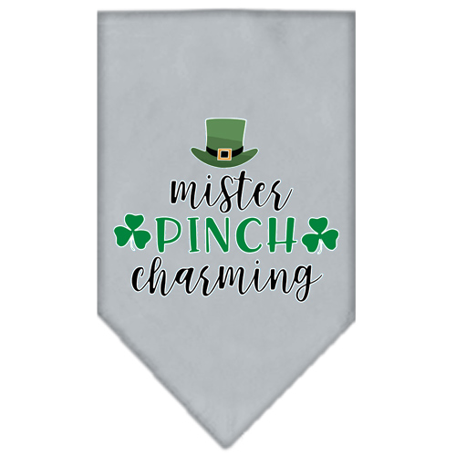Mister Pinch Charming Screen Print Bandana Grey Small